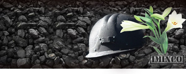 iMINCO NSW Mining Fatalities - Safety training is critical